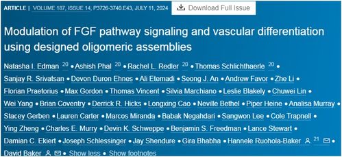 计算机引导干细胞分化 全新人造血管网络开启医疗革命