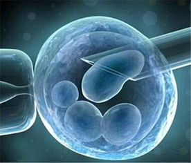 首届中国细胞技术发展与应用论坛在京隆重举行，共话细胞技术研发与应用新篇章