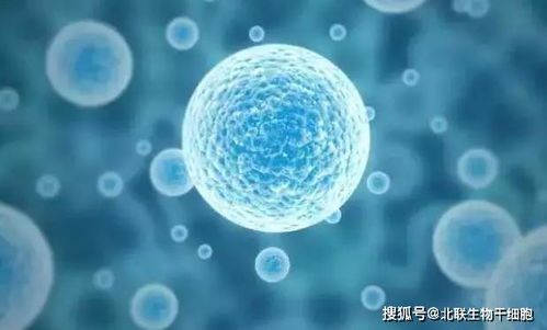 干细胞技术 掀开医学革命新浪潮的细胞科技引擎